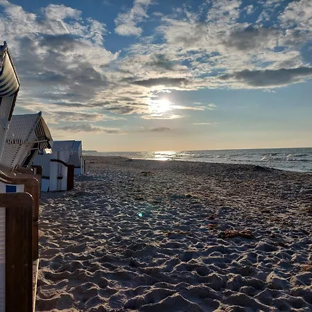 Am Deich Haus 32 Σπίτι διακοπών Zingst